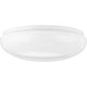 Progress Lighting - Cloud Flush Mount - Lights Canada