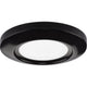 Progress Lighting - Emblem Flush Mount - Lights Canada