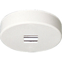 Track Light Monopoint