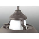 Progress Lighting - Carbon Mini Pendant - Lights Canada