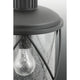 Progress Lighting - Hollingsworth Outdoor Ceiling Light - Lights Canada