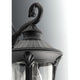 Progress Lighting - Meridian Outdoor Wall Light - Lights Canada