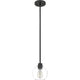 Quoizel - Pruitt Mini Pendant - Lights Canada