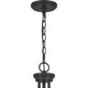 Quoizel - Pruitt Chandelier - Lights Canada