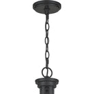 Quoizel - Pruitt Chandelier - Lights Canada