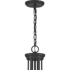 Quoizel - Pruitt Chandelier - Lights Canada