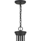 Quoizel - Pruitt Chandelier - Lights Canada