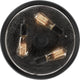 Quoizel - Radius Flush Mount - Lights Canada