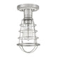 Quoizel - Mixon Semi Flush Mount - Lights Canada