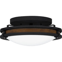 Alexa Flush Mount