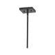 Quoizel - Henrietta Pendant - Lights Canada