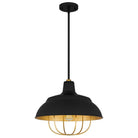 Quoizel - Darmody Pendant - Lights Canada