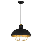 Quoizel - Darmody Pendant - Lights Canada