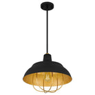 Quoizel - Darmody Pendant - Lights Canada