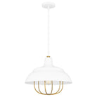 Quoizel - Darmody Pendant - Lights Canada
