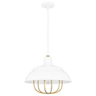 Quoizel - Darmody Pendant - Lights Canada