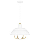 Quoizel - Darmody Pendant - Lights Canada