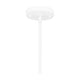 Quoizel - Darmody Pendant - Lights Canada