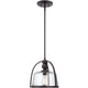 Quoizel - Ridley Mini Pendant - Lights Canada