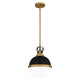 Quoizel - Sullivan Pendant - Lights Canada