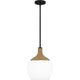 Quoizel - Royer Pendant - Lights Canada