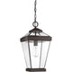 Quoizel - Ravine Outdoor Pendant - Lights Canada