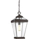 Quoizel - Ravine Outdoor Pendant - Lights Canada
