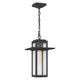Quoizel - Randall Mini Pendant - Lights Canada