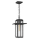 Quoizel - Randall Mini Pendant - Lights Canada