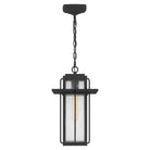 Quoizel - Randall Mini Pendant - Lights Canada