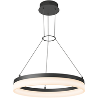 Artika Optical Pendant