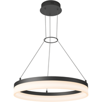 Artika Optical Pendant