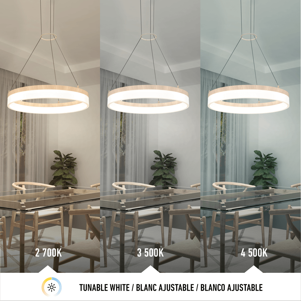 Artika - Artika Optical Pendant - Lights Canada
