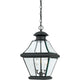 Quoizel - Rutledge Outdoor Pendant - Lights Canada