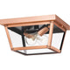 Quoizel - Rue De Royal Outdoor Ceiling Light - Lights Canada