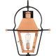 Quoizel - Rue De Royal Outdoor Wall Light - Lights Canada