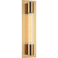 Riely 1-Light Wall Sconce