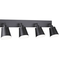 Kinsley Vanity Light