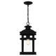 Quoizel - Scout Mini Pendant - Lights Canada