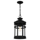 Quoizel - Scout Mini Pendant - Lights Canada