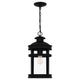 Quoizel - Scout Outdoor Pendant - Lights Canada