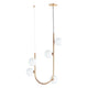 Studio M - Contour 5-Light Linear Suspension - Lights Canada