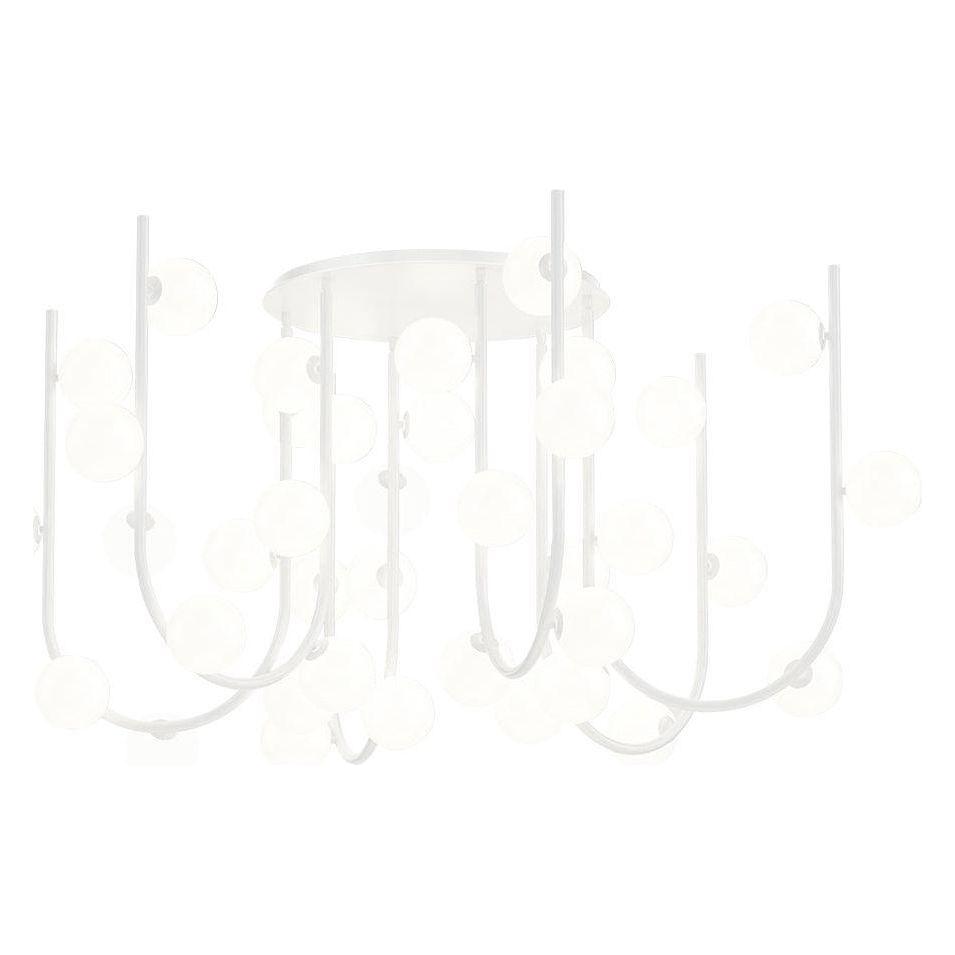 Studio M - Contour MTO 36-Light Fixed Pendant - Lights Canada