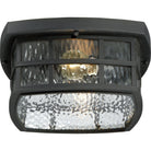 Quoizel - Stonington Outdoor Ceiling Light - Lights Canada