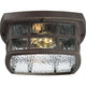 Quoizel - Stonington Outdoor Ceiling Light - Lights Canada