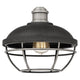 Quoizel - Sandpiper Semi Flush Mount - Lights Canada