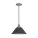 Quoizel - Sparrow Mini Pendant - Lights Canada
