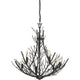 Quoizel - Thornhill Chandelier - Lights Canada