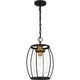 Quoizel - Thyme Mini Pendant - Lights Canada