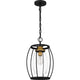 Quoizel - Thyme Mini Pendant - Lights Canada